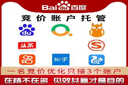 案例剖析：SEM代运营服务公司的优势与挑战